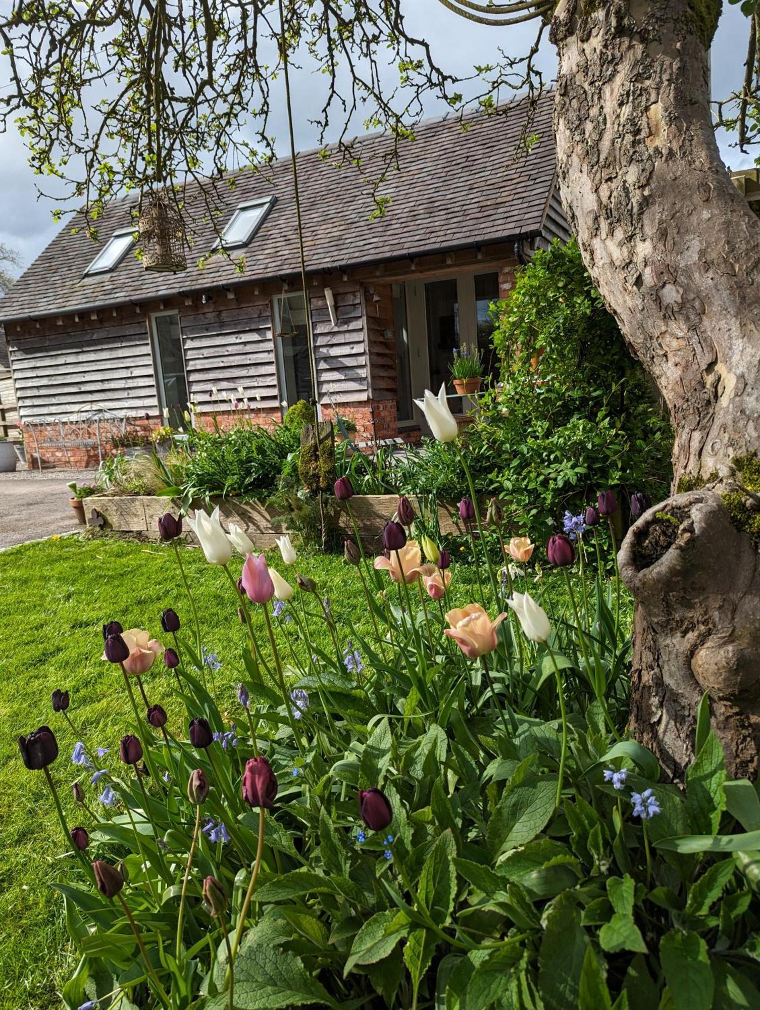 The Dorm Bed And Breakfast Eccleshall Dış mekan fotoğraf