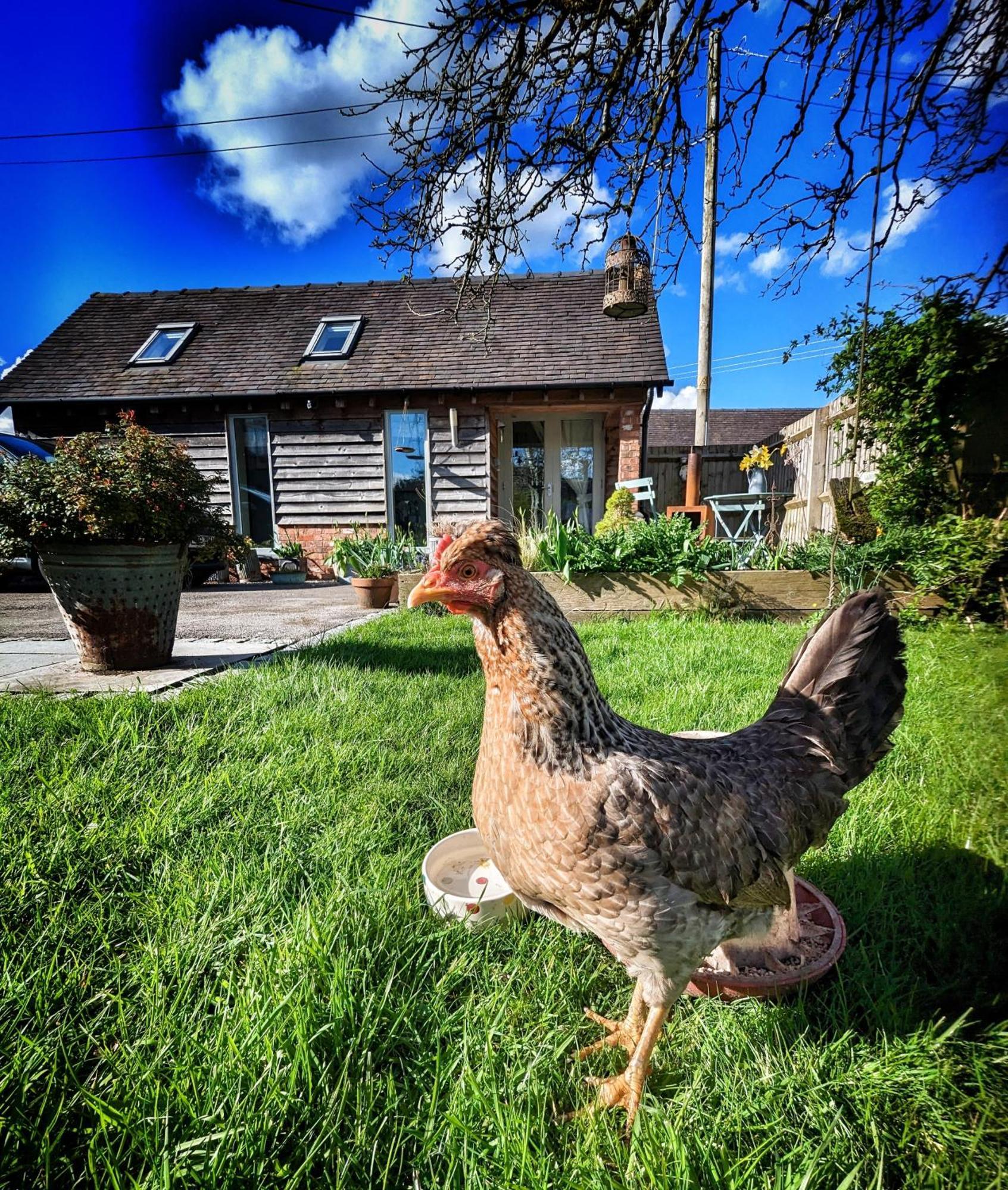 The Dorm Bed And Breakfast Eccleshall Dış mekan fotoğraf